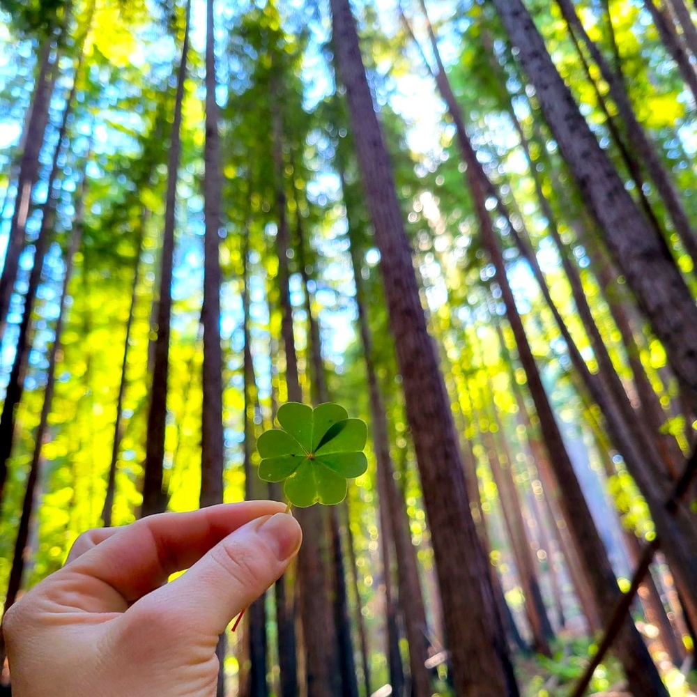 Meet your Posher, Aloha